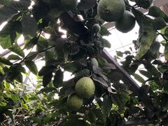 -龙达温泉生态城