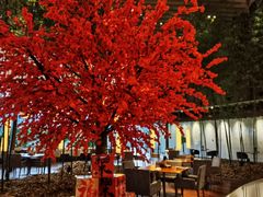 -北京望京凯悦酒店The Lounge大堂酒廊
