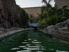 -亚马逊丛林水乐园