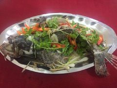 -QQ海鲜餐厅