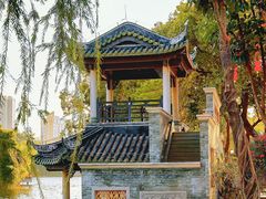 -荔湾湖公园