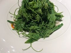 丝瓜尖-粤界(望京金辉店)