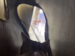 -全心全意连锁动物医院·微创中心·内科急重症·心脏专科(丰管路店)