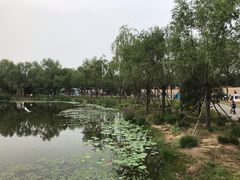 -东郊湿地公园