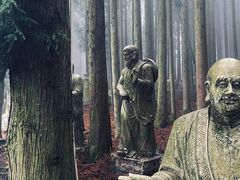 -武陵山森林公园