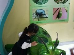 -上海昆虫博物馆