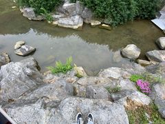 -陶祖圣境风景区