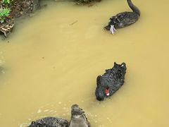 -泉州海丝野生动物世界