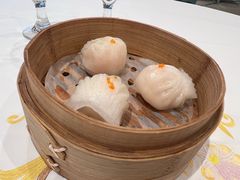 -粤珍轩(新城广场店)