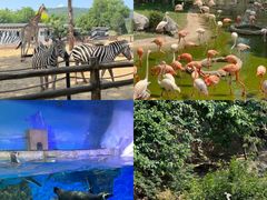 -大连森林动物园