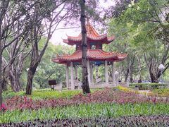 -深圳龙潭公园
