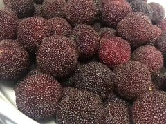 -西山樟坞健康果园枇杷杨梅采摘