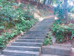 -广州市帽峰山景区