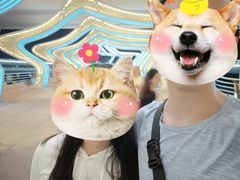 -演武大桥观景平台