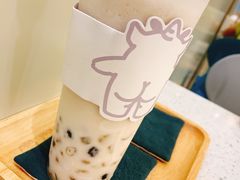 双蛋小皇椰（白屁屁）-茶力的小怪兽(梅林卓悦汇店)