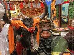 -吉祥圣雪藏餐