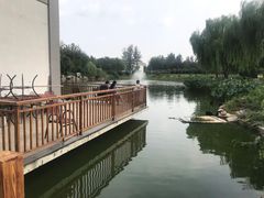 -燕郊植物园