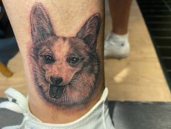 -刺客纹画纹身·洗纹身·穿孔饰品