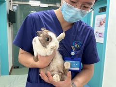 -北京观赏动物医院·24小时大型综合·猫专科·异宠专科