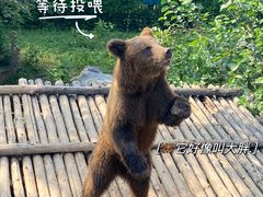 -济南野生动物世界