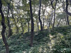 -句容茅山景区