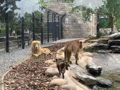 -北京野生动物园