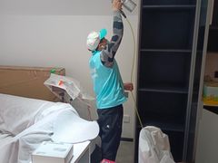 -Liteclear日本进口强效除甲醛检测治理(旗舰店)