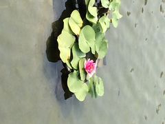 iphone_upload_pic-房山世界地质公园博物馆
