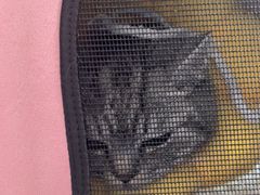 -伟伟宠物医院·CT影像中心·瑞派犬猫综合性门诊(汉口总院)