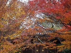 -清凉寺