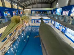 -上海海洋大学鱼文化博物馆(军工路校区)