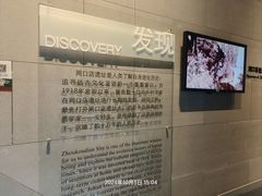 -北京周口店北京人遗址博物馆
