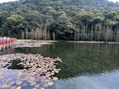 -广州市石门国家森林公园