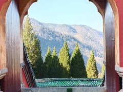 -武当山风景区-太子坡