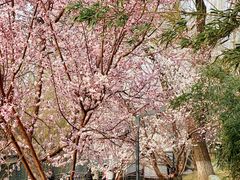 -安定门(地铁站)