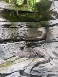 点击看大图 -Zoolung Zoolung动物主题公园(海信广场店)