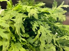 茼蒿-烹然四季椰子鸡火锅(团结湖总店)