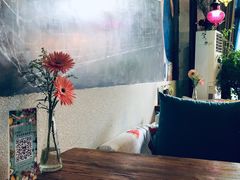 -Kitchen·Y洋厨房西餐厅(王府壹号店)