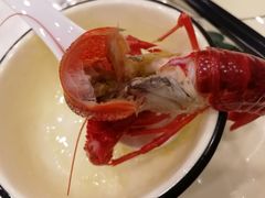 -老鄞江清水龙虾•赵赵家(江北店)