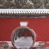 去年打卡太庙，今年打卡天坛