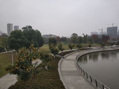 -映月湖中央公园