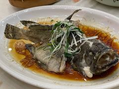 清蒸龙趸-嘉禧大酒楼(康城广场店)