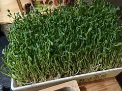 活豆苗-湊湊火锅·茶憩(上海合生汇店)