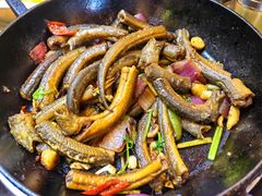 -食德喜·阳山鸡王食研基地