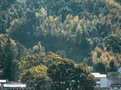 -新安江山水画廊风景区