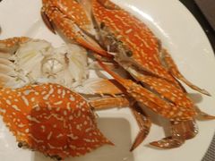 -美食汇·海鲜自助西餐厅·江门富力万达嘉华酒店