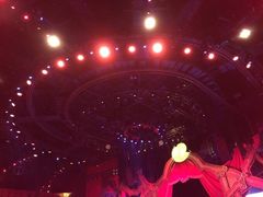 -珠海横琴长隆《卡卡虎奇遇记》