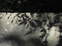 -南京市江宁方山