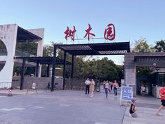 -中山市树木园