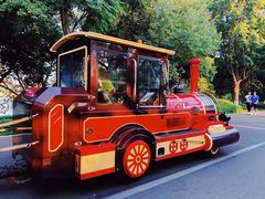 -合肥滨湖国家森林公园